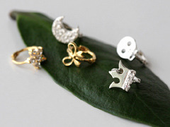 Mini ring series earring